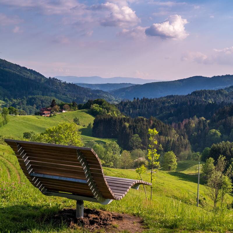 Eine Holzbank steht auf einer Wiese mit Ausblick auf eine hügelige Landschaft und Wälder unter einem bewölkten Himmel.